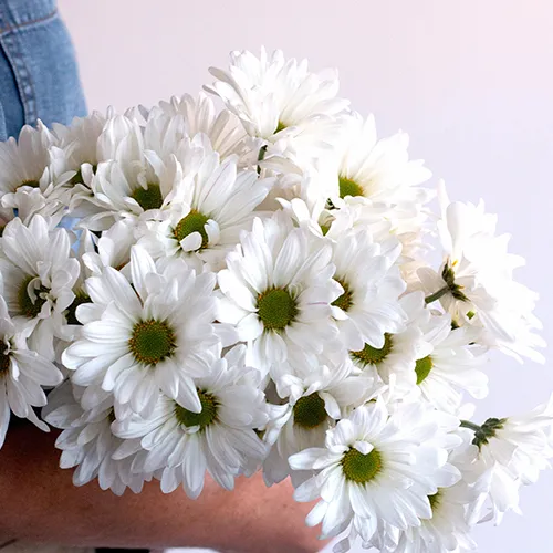 Mini Banner Position 4