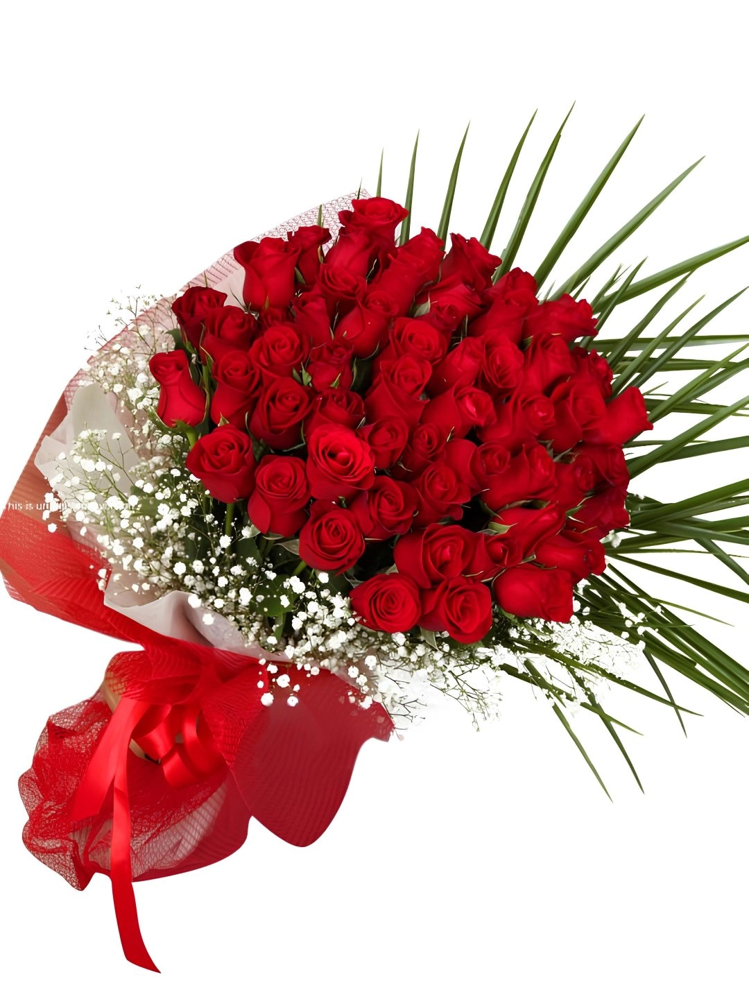 41 Adet Kuçak Dolusu Gül